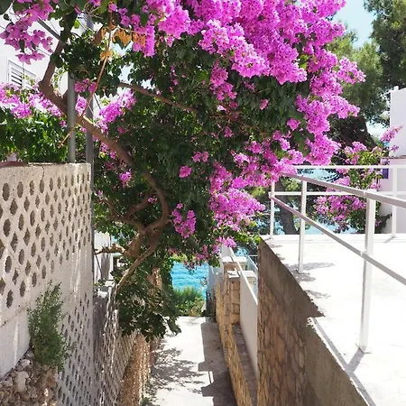 Apartment Roko Stanici